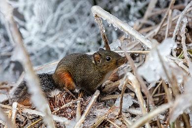 《High On Life》即将登陆PS4和PS5